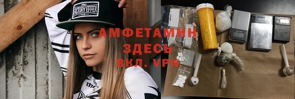 молекула духа Козельск