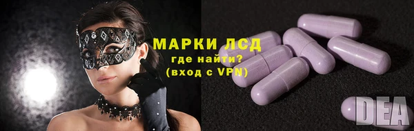 молекула духа Козельск