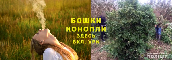 сатива Киренск