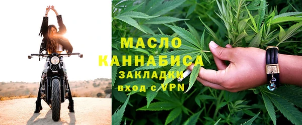 молекула духа Козельск