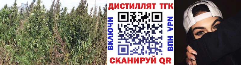 ТГК гашишное масло  Купить где  Бабушкин 