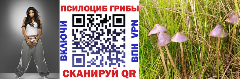 Псилоцибиновые грибы Magic Shrooms  Купить закладки  Бабушкин 